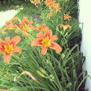 Meet your Posher, Bethany